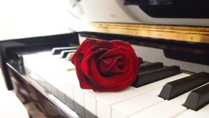 rose and piano
